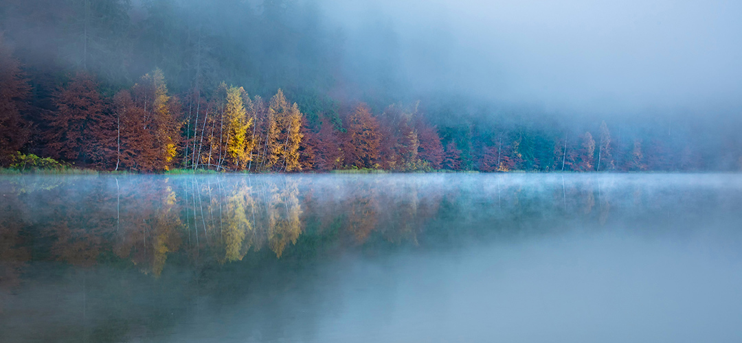 fog over a river with trees on the bank