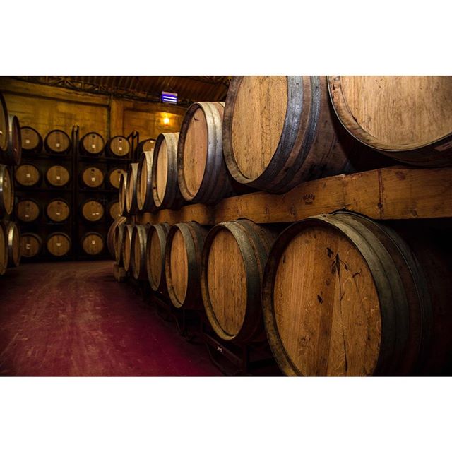 Al más puro estilo del Bierzo. 
#wine #wein #vino #cellar #bodega #地窖 #葡萄酒 #葡萄園 #西班牙 #نبيذ #포도주 #वाइन #ワイン #vinho #вино #Bierzo #León #leon #ElBierzo #CasarDeBurbia #CastillaYLeon #mencía #uvas #viñedo #vineyards